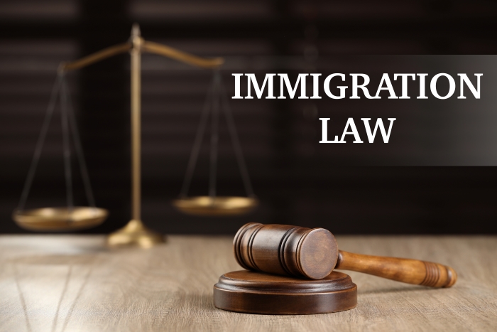 Immigration Lawyers